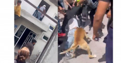 Linchan a ladrón de casas y hasta el perro le da su merecido (video)