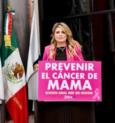 Propone diputada Alejandra Lopez Noriega Garantizar por ley acceso a atención medica integral del cáncer de mama