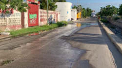 Desde hace seis meses hay una fuga de aguas negras en la avenida Insurgentes