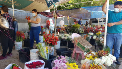 Esperan floristas recuperar inversión