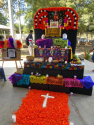 Celebra comunidad escolar de Cobach Sonora tradición de Día de Muertos