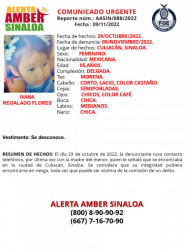 Desaparecen tres menores de edad junto con su madre en Culiacán
