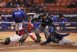 YAQUIS CAEN EN MEXICALI