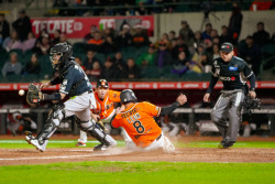 Naranjeros blanquea 7-0 a tomateros