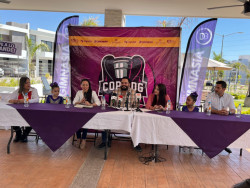 Anuncian copa estatal de Gimnasia en Sinaloa