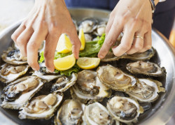 Hombre muere por comer ostras crudas en Estados Unidos