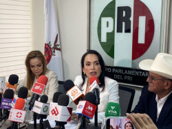 Sinaloa requiere un presupuesto que cubra las necedades :Irma Moreno