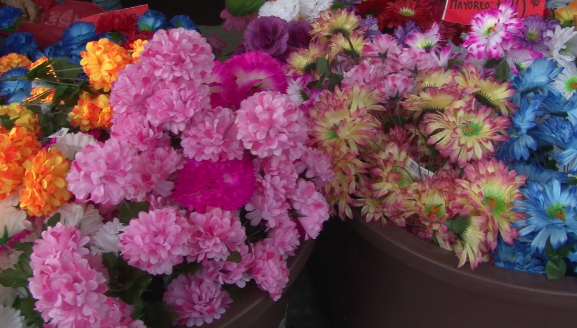Flores de plástico, muy vendidas por Día de Muertos | Sinaloa | Noticias |  TVP 