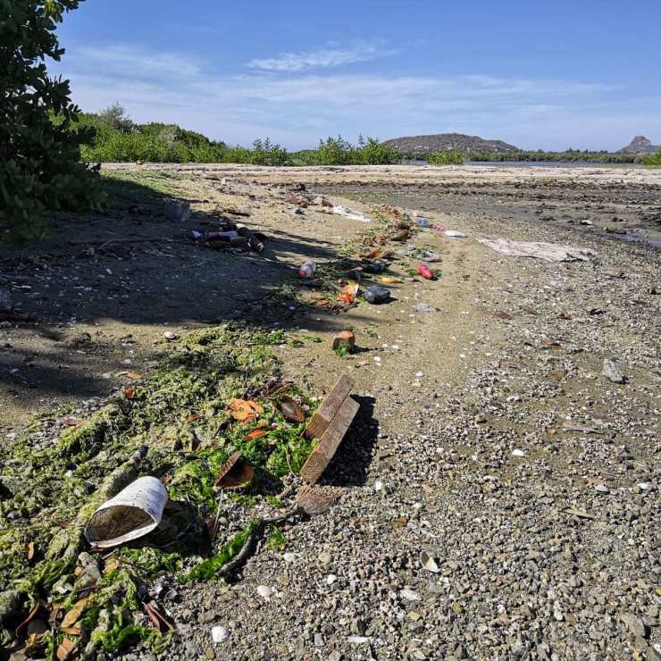 Mazatlan says yes to the prohibition of single-use plastics