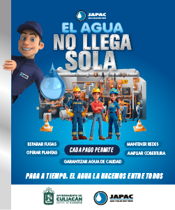 servicio japac