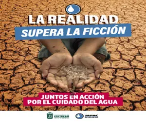 Programa animo TVP