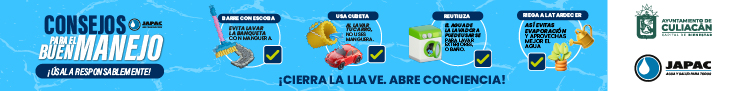 servicio japac