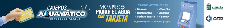 servicio japac